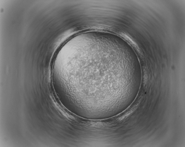 X0000085060940200703191321