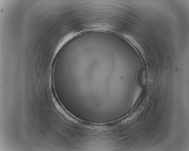 X0000085060941200703191321