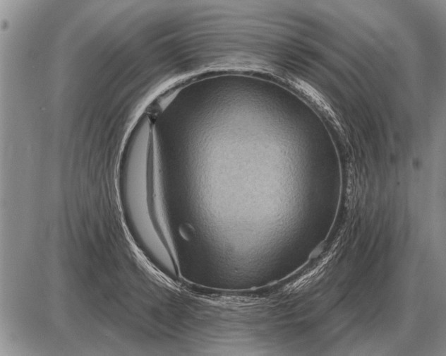 X0000085060942200703191321