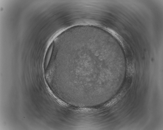 X0000085060943200703191321