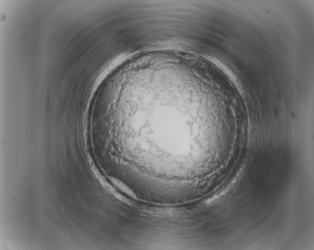 X0000085060949200703191321