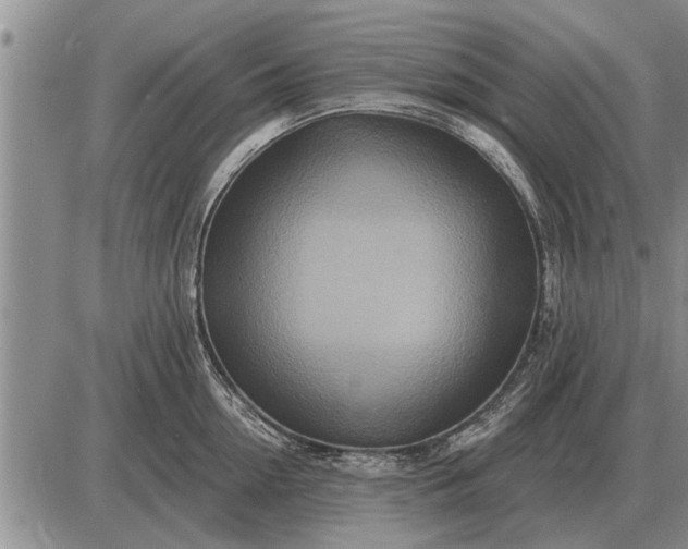 X0000085060954200703191321