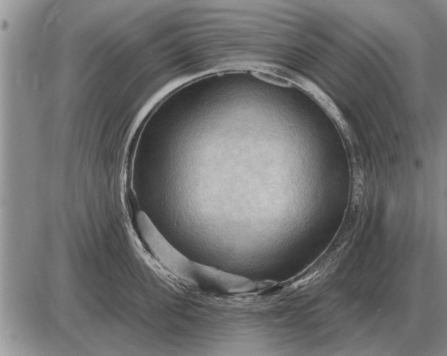 X0000085060955200703191321