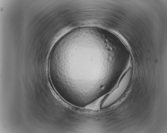 X0000085060957200703191321