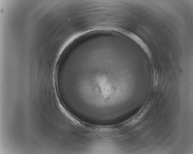 X0000085060958200703191321