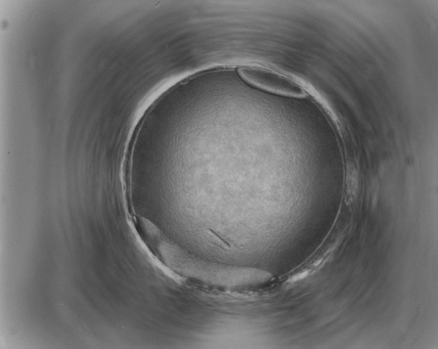 X0000085060959200703191321