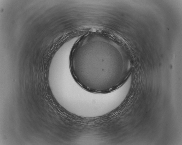 X0000085060965200703191320