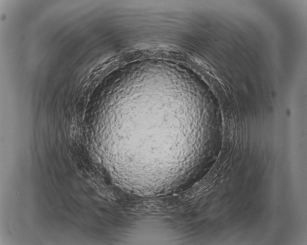 X0000085060966200703191320