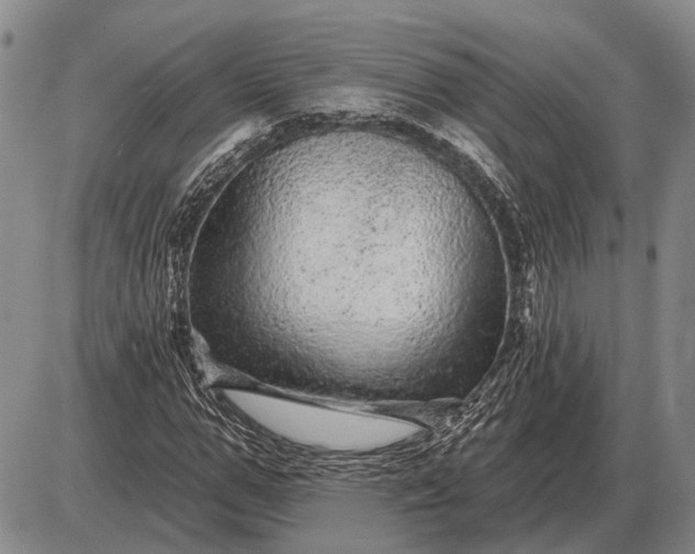 X0000085060967200703191320