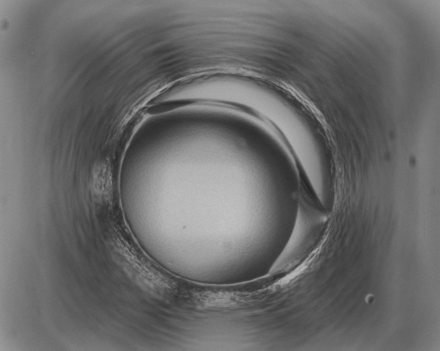 X0000085060969200703191320