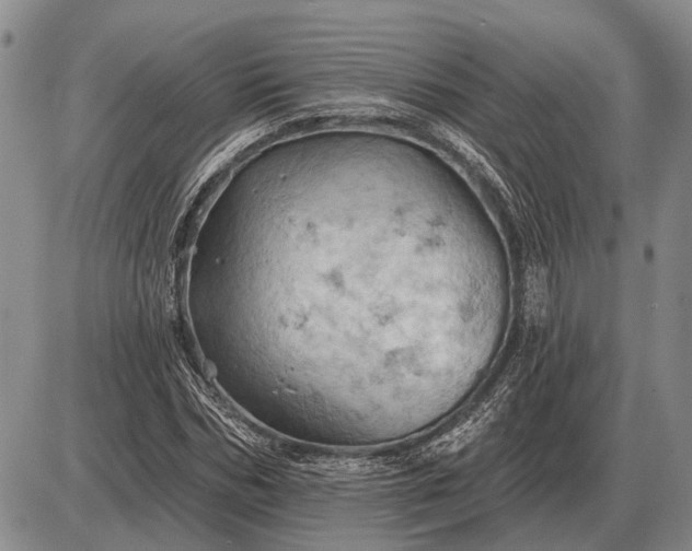 X0000085060970200703191320