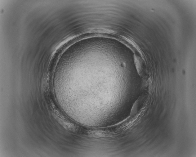 X0000085060971200703191320