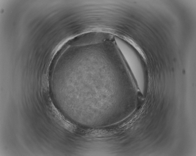 X0000085060972200703191320