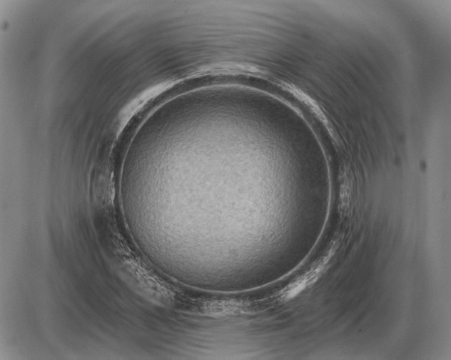 X0000085060973200703191320