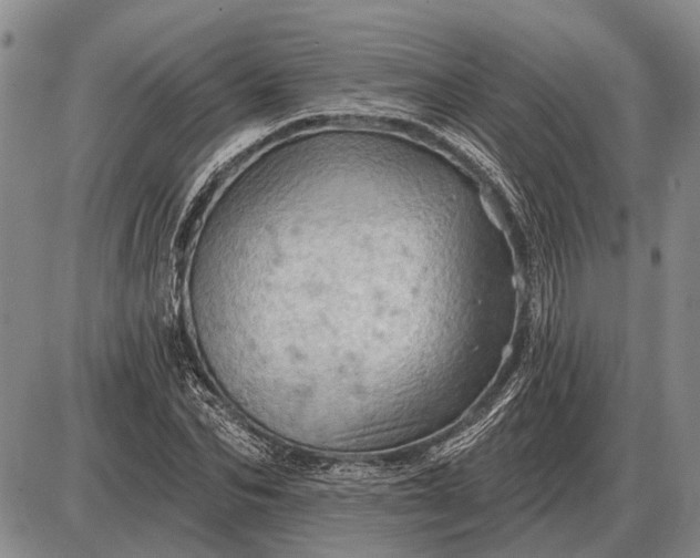 X0000085060974200703191320