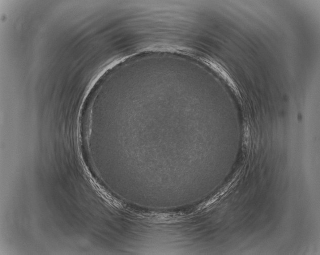 X0000085060976200703191320