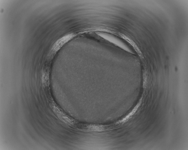 X0000085060977200703191320