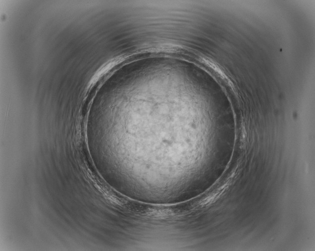 X0000085060978200703191320