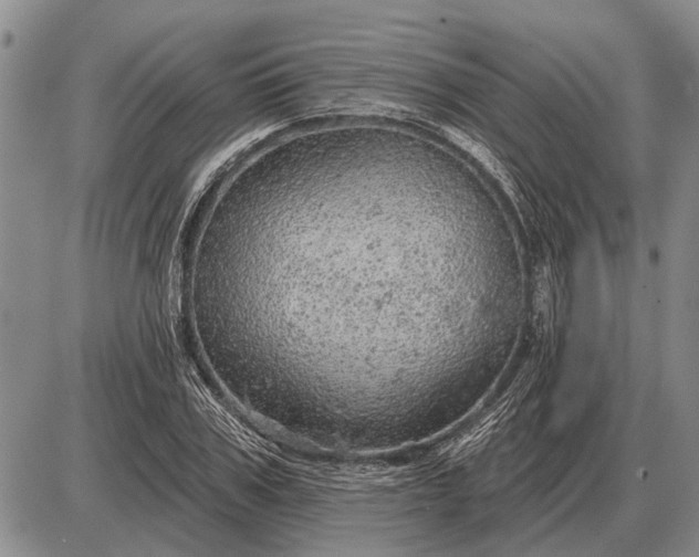 X0000085060979200703191320