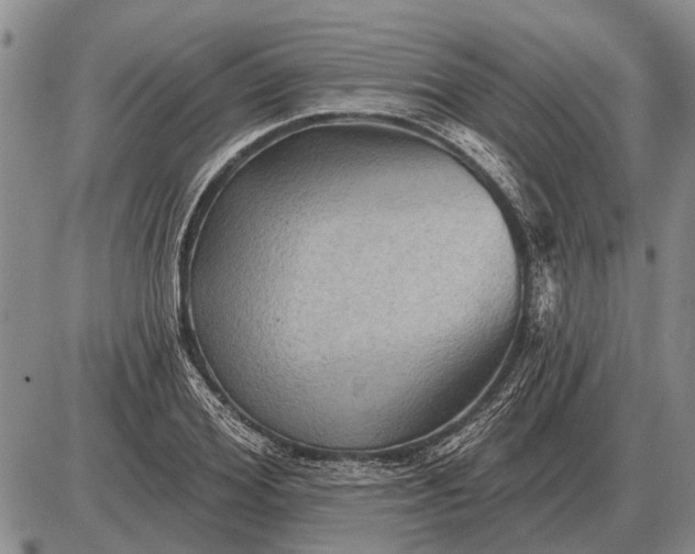 X0000085060980200703191320