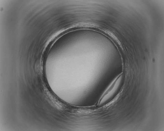 X0000085060981200703191320