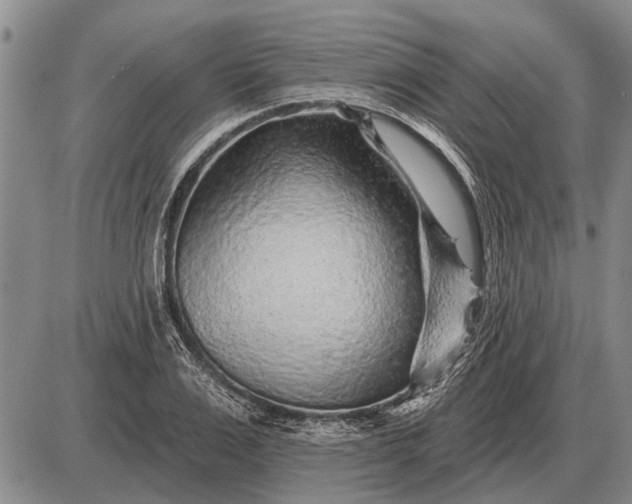 X0000085060983200703191320