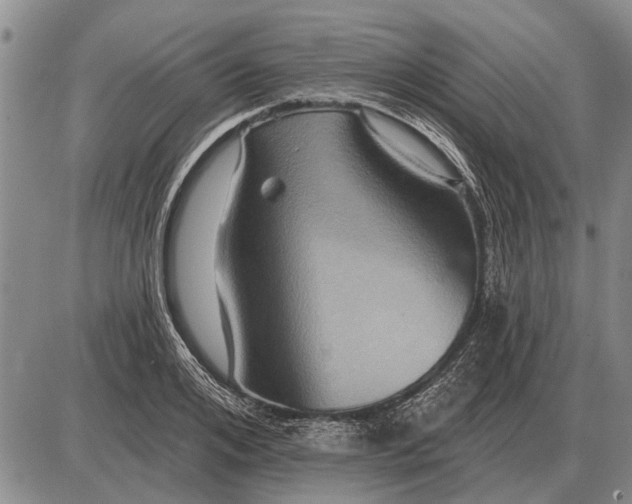 X0000085060984200703191320