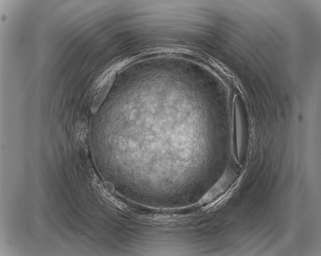 X0000085060985200703191320