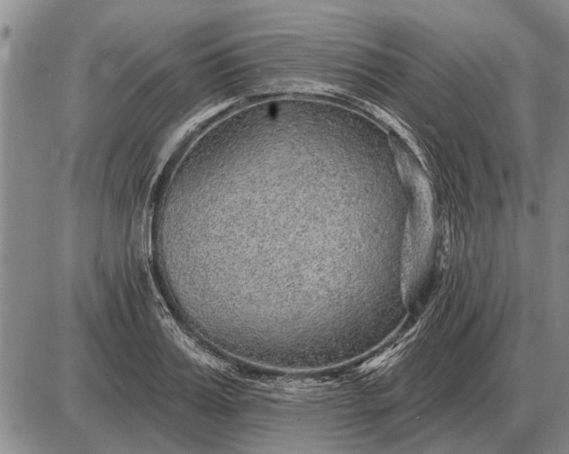 X0000085060987200703191320