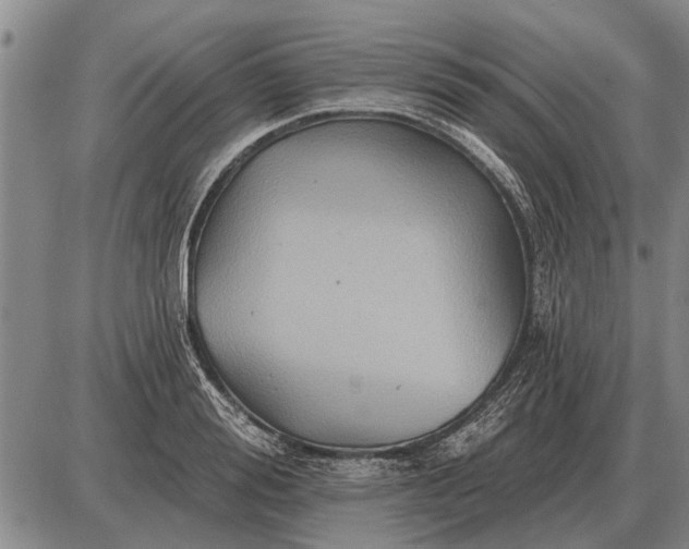 X0000085060988200703191320