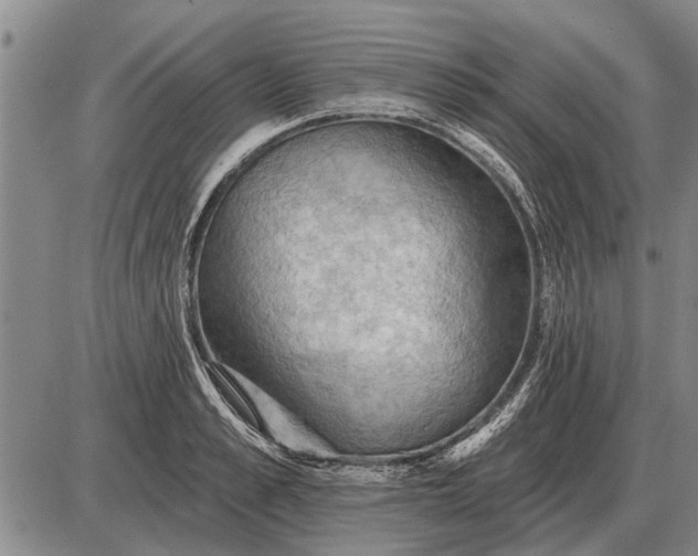 X0000085060989200703191320