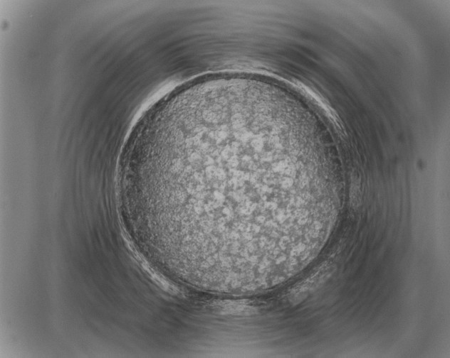 X0000085060990200703191320