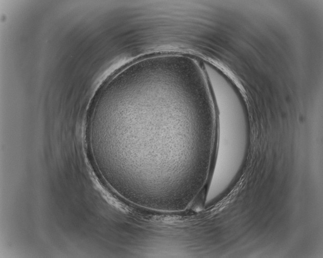 X0000085060991200703191320