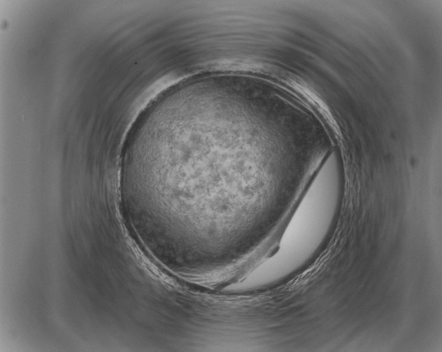 X0000085060992200703191320