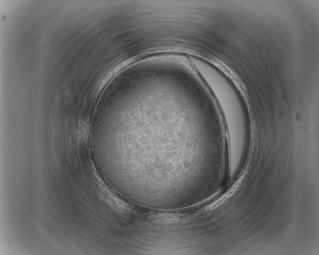 X0000085060993200703191320