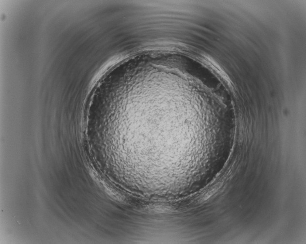 X0000085060994200703191320