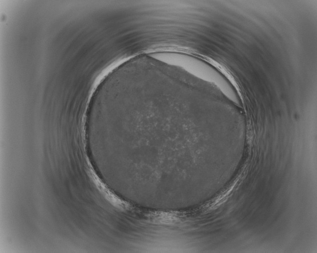 X0000085060995200703191320