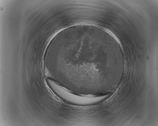 X0000085060996200703191320