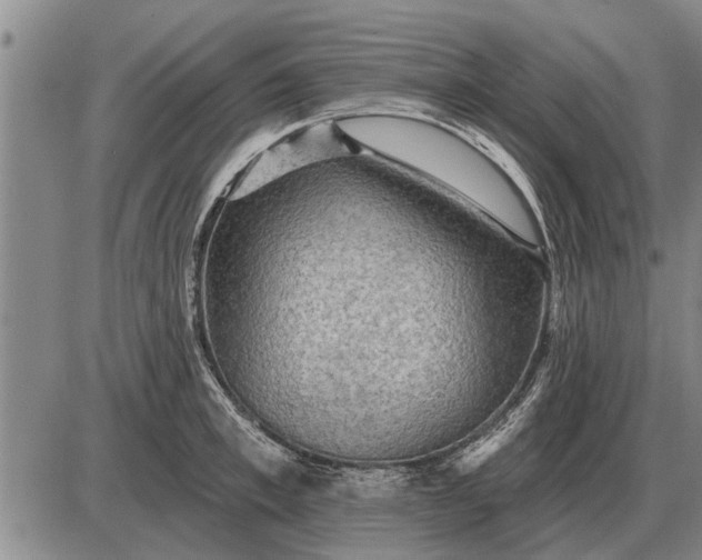 X0000085060997200703191320