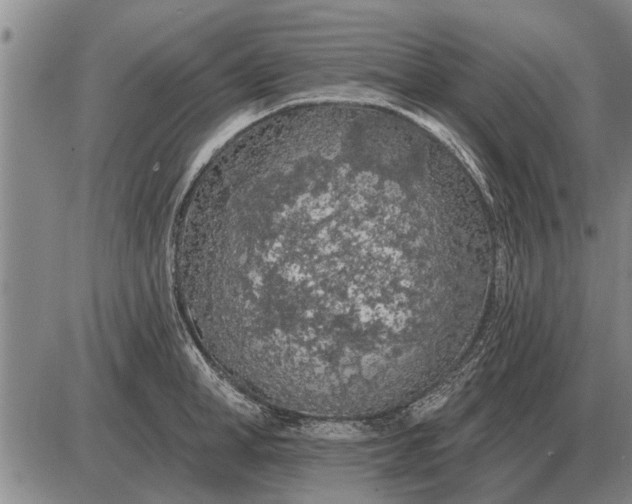 X0000085060998200703191320