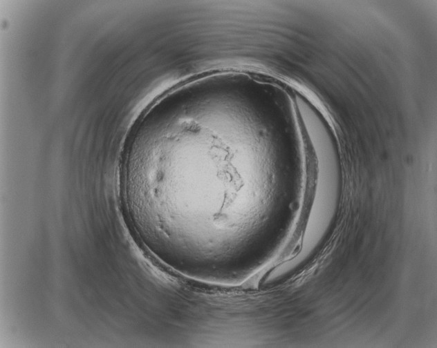 X0000085060999200703191320