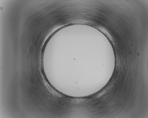 X0000085061000200703191320