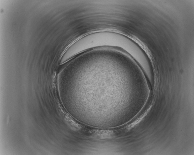 X0000085061001200703191320