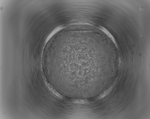 X0000085061002200703191320