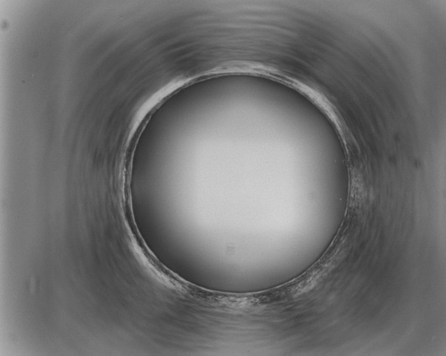 X0000085061003200703191320