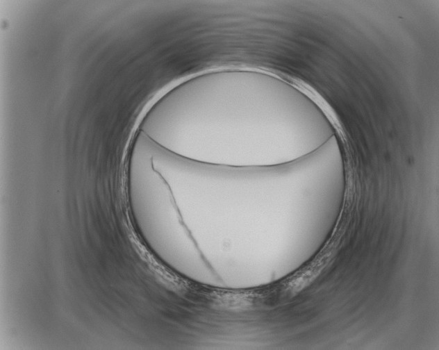 X0000085061004200703191320