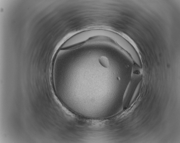 X0000085061005200703191320