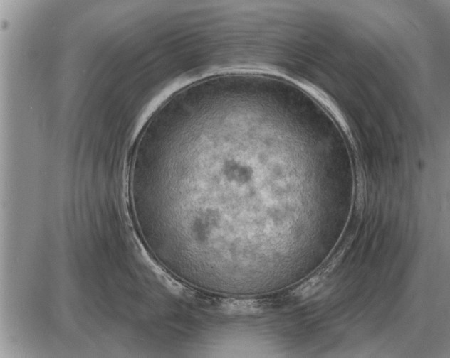 X0000085061006200703191320