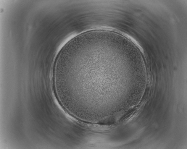 X0000085061007200703191320