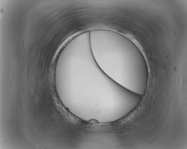 X0000085061008200703191320